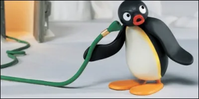 Comment s'appelle ce manchot ?