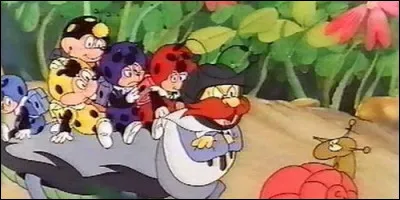 Qui fait la classe dans "Cococinel" ?