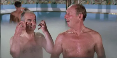 Ce film, longtemps classé au ''hit-parade'' du cinéma français, est interprété par de Funès et Bourvil qui y chantent "Tea for Two". Quel est son titre ?