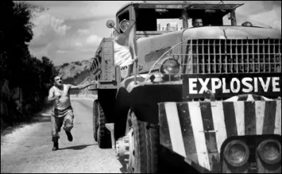 Quel film d'Henri-Georges Clouzot, sorti en 1953, a remporté la Palme d'or à Cannes et l'Ours d'or à Berlin ?