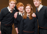 Test Quelle est ta famille de la saga ''Harry Potter'' ?