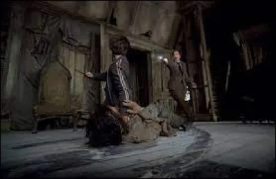 Pour qui la Cabane Hurlante a-t-elle été conçue ?