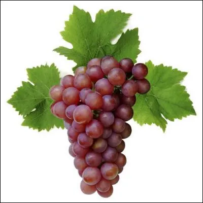 Quels sont ces fruits ?