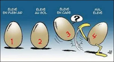 Chanteur : 
En 1962, quel chanteur interpréta la chanson ''La cane de Jeanne'', où l'on peut entendre ces paroles : 
''La cane de Jeanne
Est morte au gui l'an neuf
L'avait fait la veille 
Merveille, un uf.''