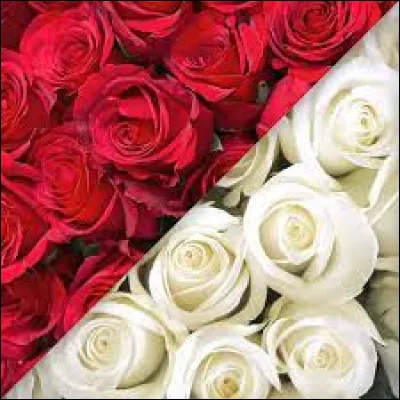 Selon la mythologie grecque, quelle déesse a créé la rose, en transformant en cette magnifique fleur une nymphe défunte ?