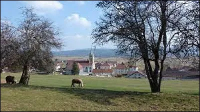 Je vous emmène à présent en Bourgogne-Franche-Comté, à Gilley. Capitale économique de la République du Saugeais et malgré tout appartenant à l'arrondissement de Pontarlier, c'est une commune située dans le département ...
