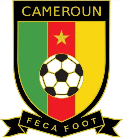 D'après son surnom, comment sont les Lions de l'équipe du Cameroun ?