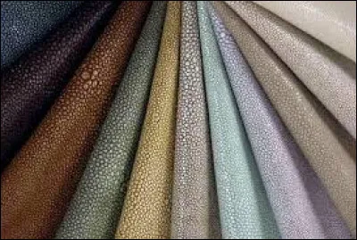 Ce qu'on appelle "galuchat" en maroquinerie et ameublement, c'est de la peau traitée en cuir, mais de quel animal ?