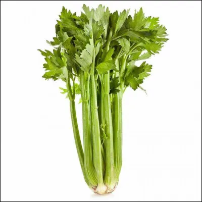 Quel est ce légume ?