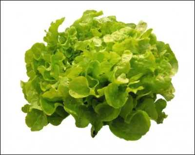 Quel est le nom de ce légume ?
