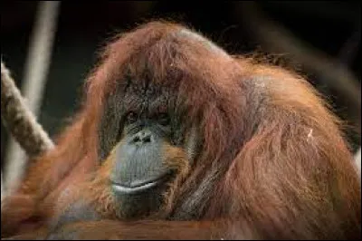 Dès qu'il y a un problème, elle se casse, c'est la...