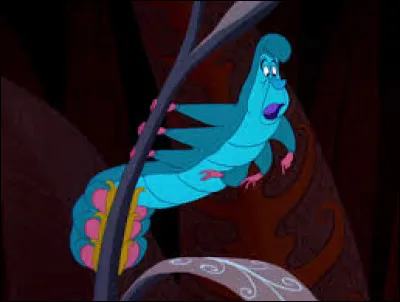 La chenille porte le nom latin de "canicula", ce qui signifie...