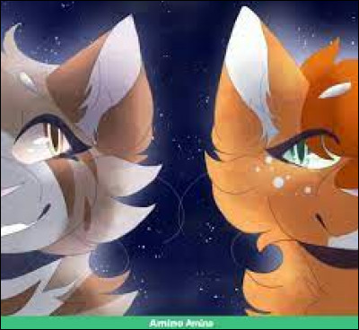 Comment s'appellent les chatons de Cœur de Feu et de sa compagne ?