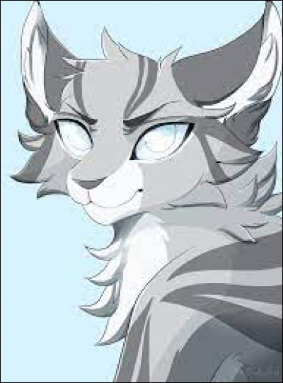 Quel est le pouvoir de Œil de Geai ?