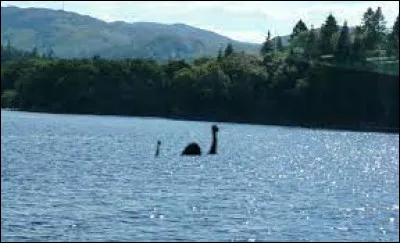 Quel est le surnom du monstre du Loch Ness, animal de légende écossais ?