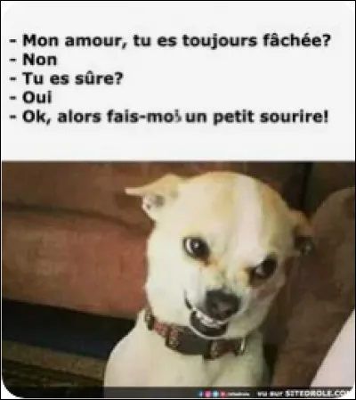 Quand tu souris, ta bouche révèle la blancheur de tes dents.