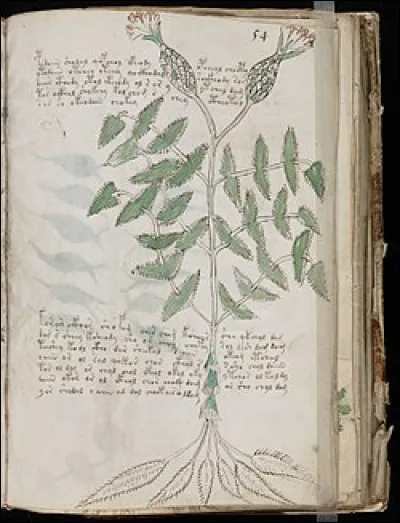 Vrai mystère ou mystification ? Le "manuscrit de Voynich", ouvrage vraisemblablement du XVe siècle, est rédigé dans une écriture, et probablement une langue, non encore décryptées. Il comporte également des illustrations de plantes inconnues. Savez-vous d'où vient son nom ?