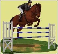  quel ge les chevaux peuvent commencer  participer  des comptitions ?