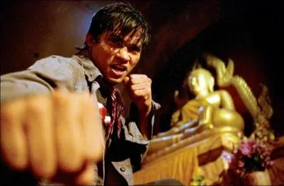 Quel est le titre original de L'Honneur du Dragon avec Tony Jaa ?