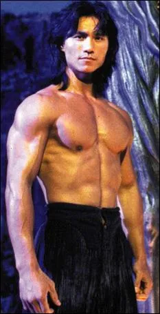 Dans quelle adaptation en film de jeu video ne joue pas Robin Shou ?