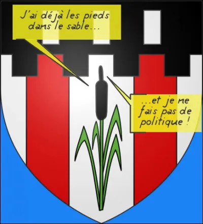 Ici, m&ecirc;me les roseaux ne semblent pas vouloir se mouiller !