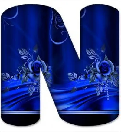 N comme Nevers : dans quel département se trouve-t-elle ?