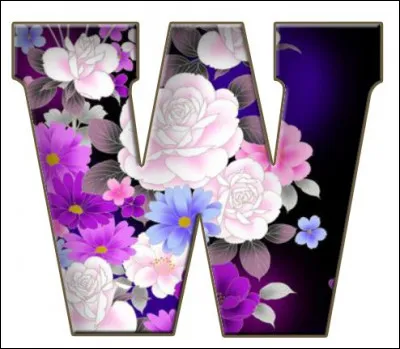 W comme "wesh" : mot argot très employé par les jeunes, il signifie "comment vas-tu", de quelle origine est-il ?