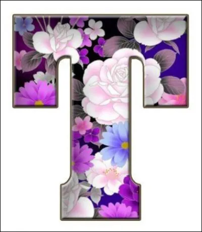 T comme Tautou : dans quel film a-t-elle joué ?