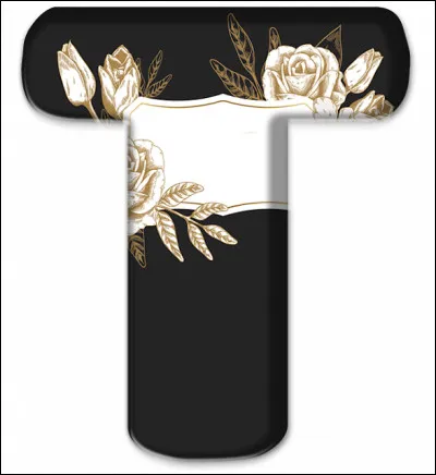 T comme "Touaregs" : où vivent ces nomades ?