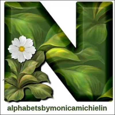 N comme Néréides : qui sont-elles dans la mythologie ?