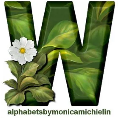 W comme Worry : complétez le titre de la chanson de Bobby McFerrin : Dont'worry, be..."