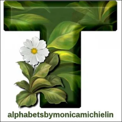 T comme Tombouctou : où cette ville est-elle située ?