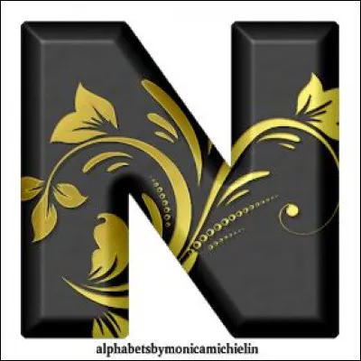 N comme Nathalie : dans quel film Nathalie Delon a-t-elle joué aux côtés de son époux Alain Delon ?