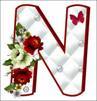 N comme Nevers : qui interprétait Alice Nevers dans la série "Le Juge est une femme" ?