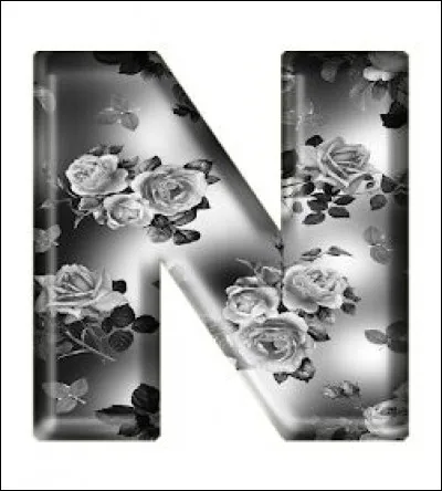 N comme Navicule : qu'est-ce ?