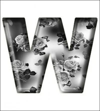 W comme Wight : qui chantait "Wight is Wight", à la fin des années 60 ?