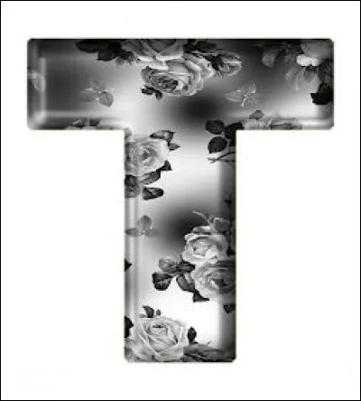 T comme Trotski : où fut-il assassiné ?