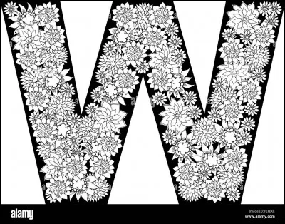 W comme Witloof : qu'est-ce donc ?