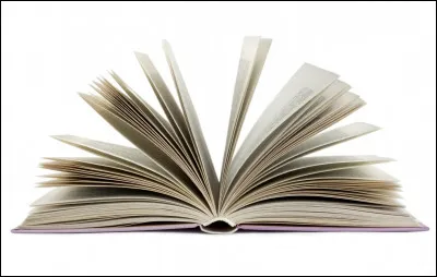 ''Mes Cop's'' est un livre format :