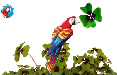 En 1991 ''Coco'' le perroquet était la mascotte de quelle marque de boissons rafraîchissantes française ?