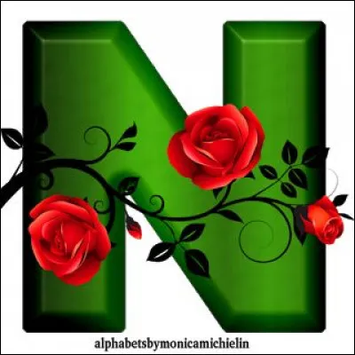 N comme "Néphrose" : que signifie ce mot ?