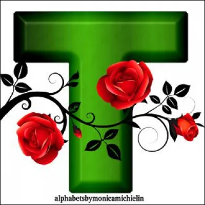 T comme Trintignant : dans quel film n'a-t-il pas joué ?