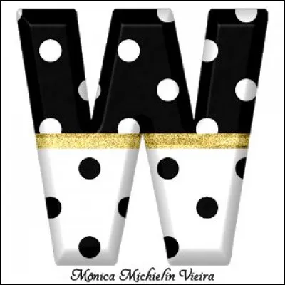 W comme Windows : comment définir ce mot ?