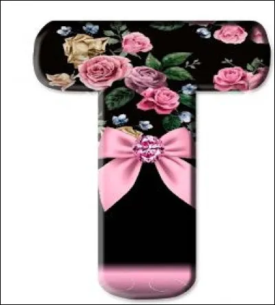 T comme Tolède : par quel fleuve est arrosée la ville de Tolède ?