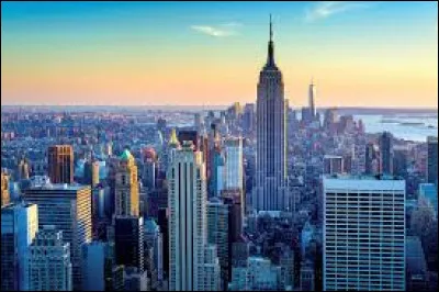 Quelle est la capitale de l'État de New York, réputé pour les célèbres chutes du Niagara ?