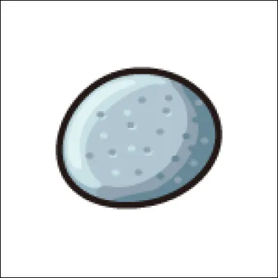 À quoi sert cet objet dans les jeux Pokémon ?