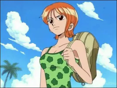 Combien de berrys Nami doit-elle donner à Arlong pour libérer les habitants de Kokoyashi ? (One Piece)