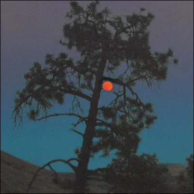 Dans quelle chanson de Jacques Brel peut-on entendre les paroles "L'ombre de ton ombre" ?