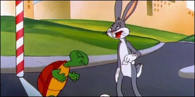 Quel est le nom de cette tortue qui a tendance &agrave; faire tourner en bourrique Bugs Bunny ?