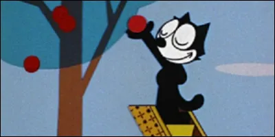 Comment s'appelle ce chat ?